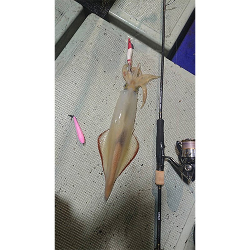 カンジインターナショナル　月弓　706H 月弓706H オモリグロッド 月弓(つくよみ) 1本 クロノ(カンジ