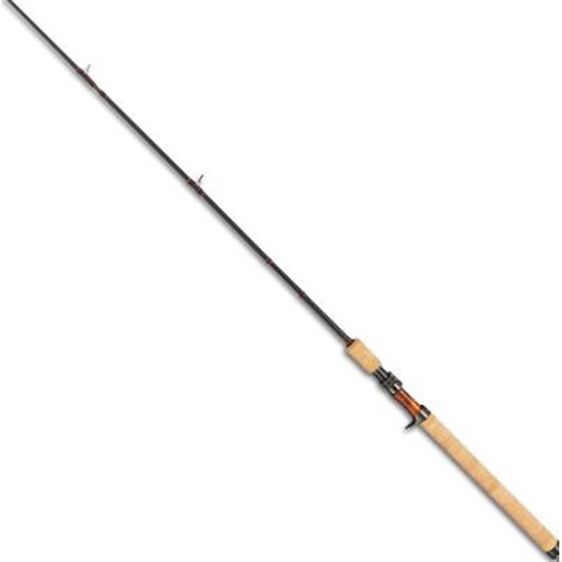 テイルウォーク　ケイソン　ランズバックⅡ C66M テイルウォーク ケイソン ランズバック2 C66M (ロッド・釣竿