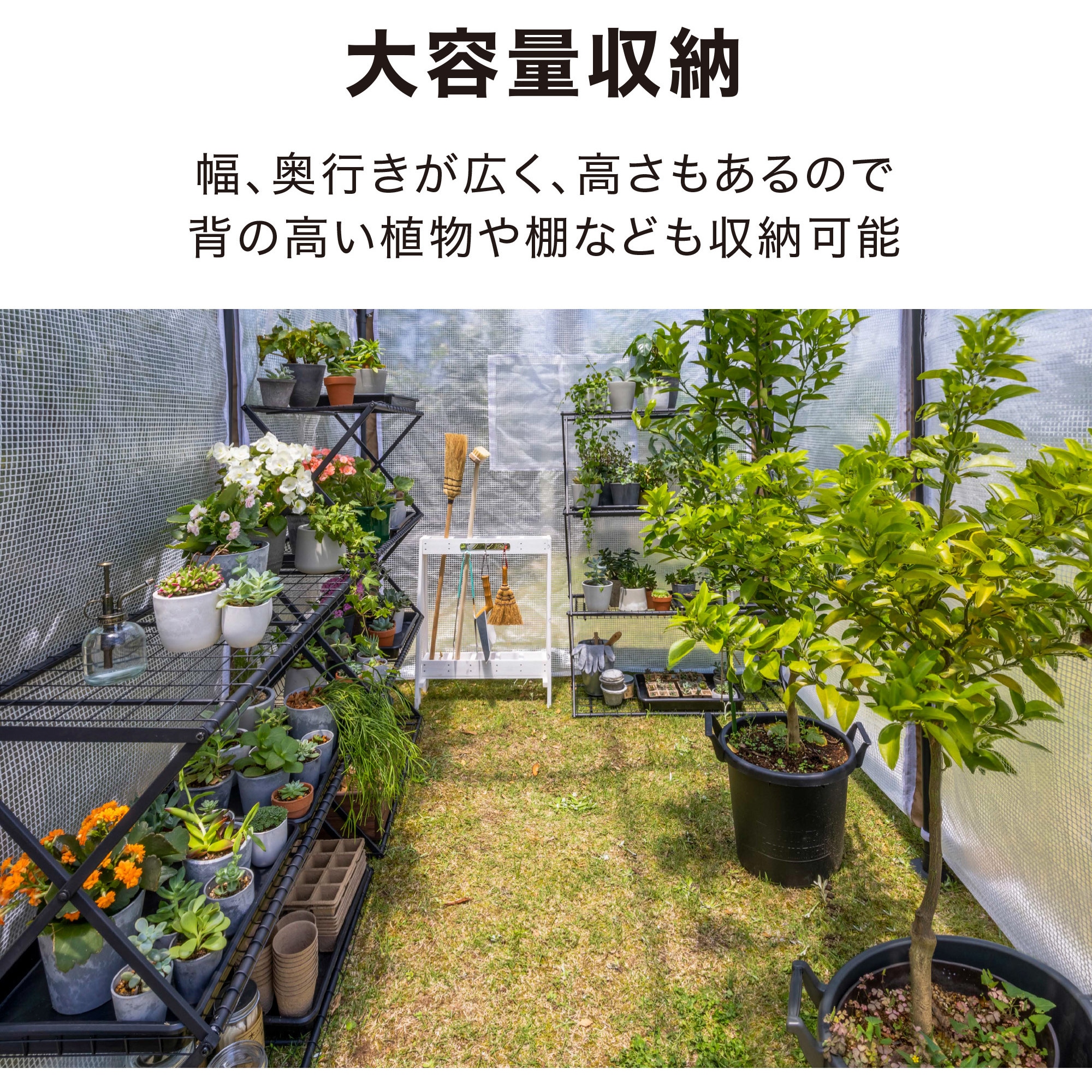 GRH-20 ウォークイン温室 DX 多目的ビニール温室 タカショー 幅185cm