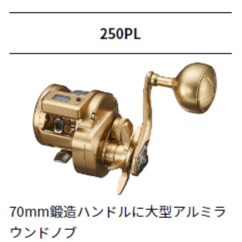 21バサラIC 250PL(左) 250PL (左巻き) 21 バサラ IC DAIWA(ダイワ)[船舶用品・漁業資材] 自重