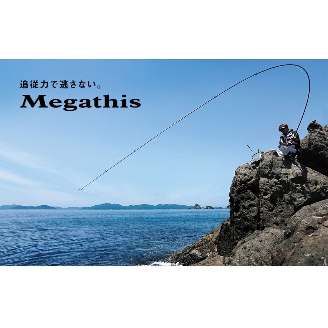 ダイワ メガディスMegathis AGS 1.75-50 ロッド 磯竿 ダイワ