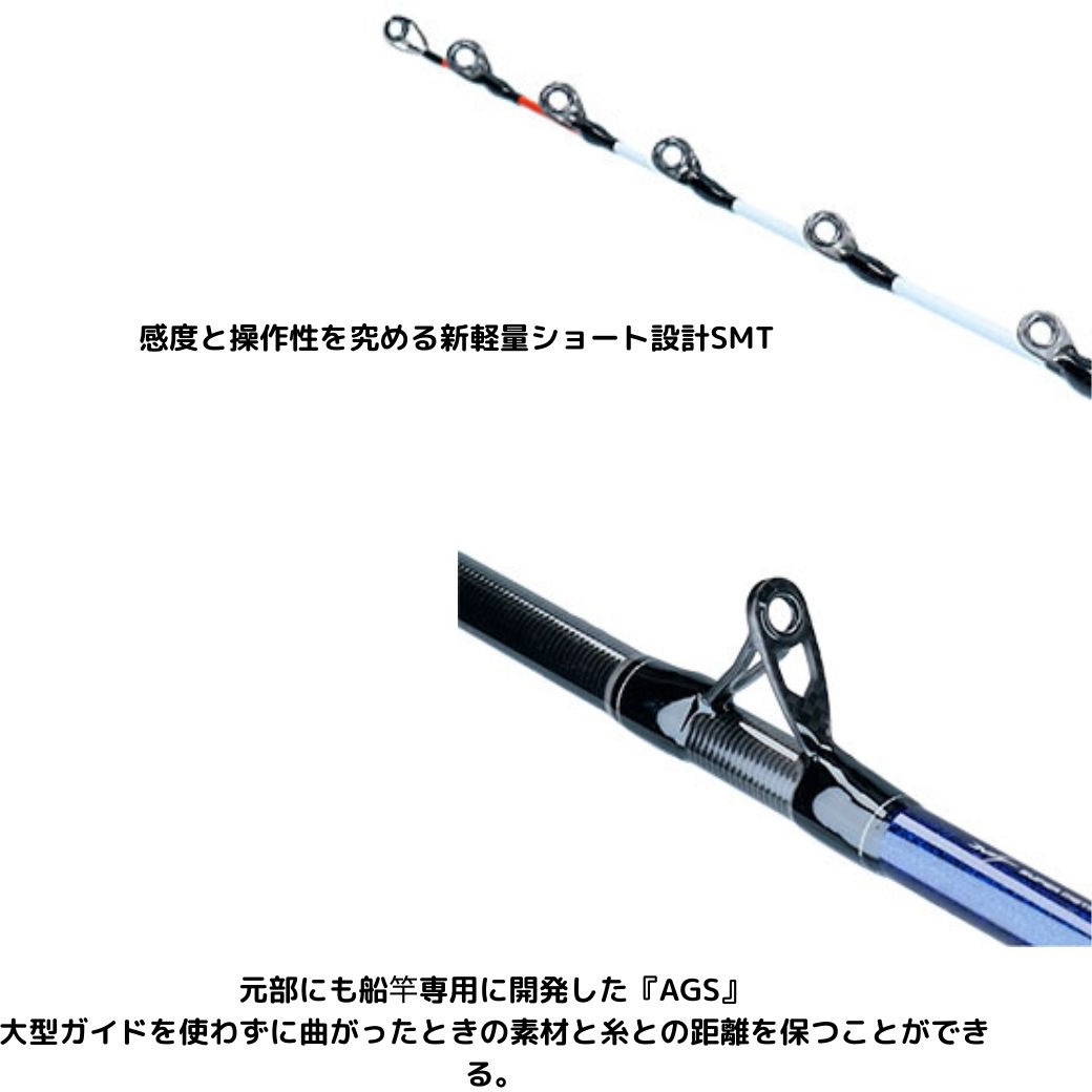 【Daiwa 】極鋭 ヒラメ 300 極鋭 ヒラメ DAIWA(ダイワ) ロッド、釣り竿 【通販モノタロウ】