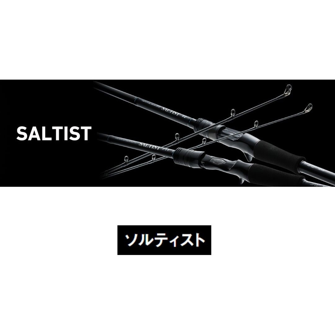 84MB ソルティスト DAIWA(ダイワ) 継数2本 全長2.54m仕舞131cm