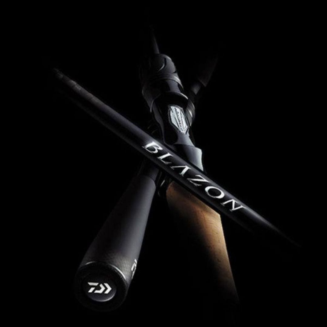 C64L-2・ST・BF ブレイゾン DAIWA(ダイワ) 継数2本 全長1.93m仕舞100cm