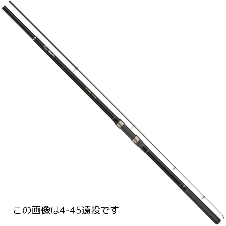 ダイワ22波濤4-45遠投・N ダイワ 遠投竿 波濤 4-45遠投・N【即日発送】(4-45遠投・N): 竿