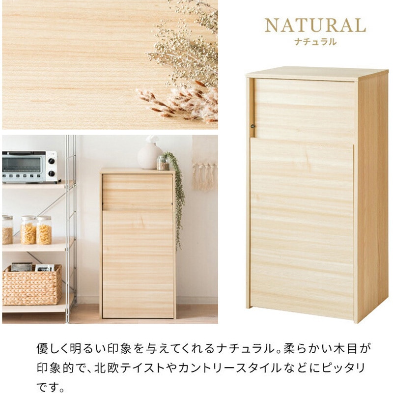DB-F1100 NA キャスターダストボックス ミヤタケ(宮武製作所) 容量45L