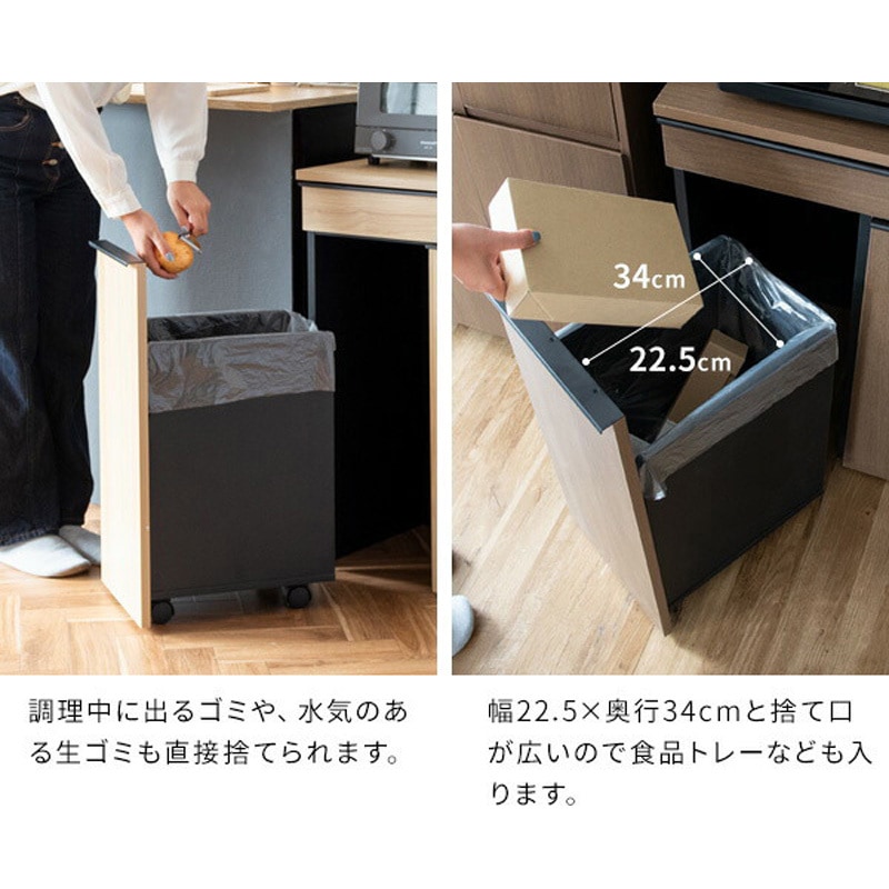 レオ　ダストボックス ダストボックス LION (ライオン事務器) 分別用ゴミ箱本体 【通販