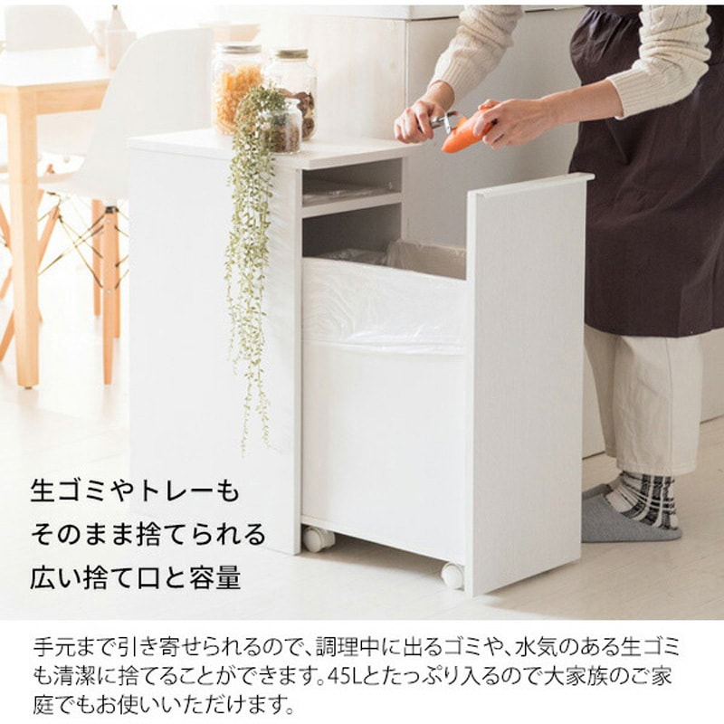 MYT DB　ゴミ箱　プッシュ式　ホワイト DB-F1200 WH キャスターダストボックス ミヤタケ(宮武製作所) 容量45L