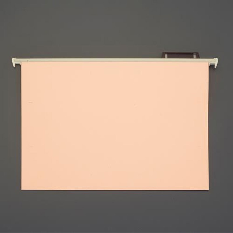 EA762CE-12 ハンガーフォルダー エスコ 寸法272×378mm 1パック(20冊) EA762CE-12