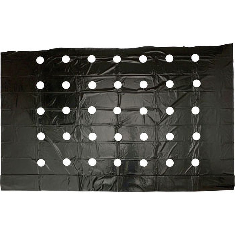 農業用マルチシート 穴あき防草マルチ 5列45 1×50m 2巻1組 農用 マルチング 防草シート 被覆資材 ポリプロピレン 防草 透水 地温上昇 国華園 : 農業マルチ 防草シート 国華園 穴あき防草マルチ 7列45