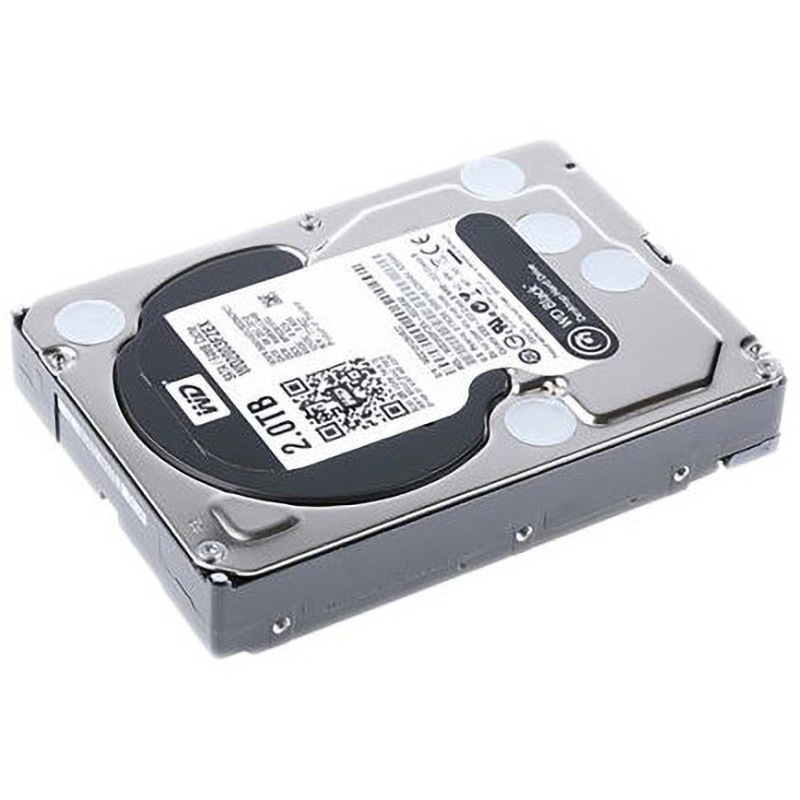 WD2003FZEX Western Digital 内蔵ハードディスク 1個 Western Digital