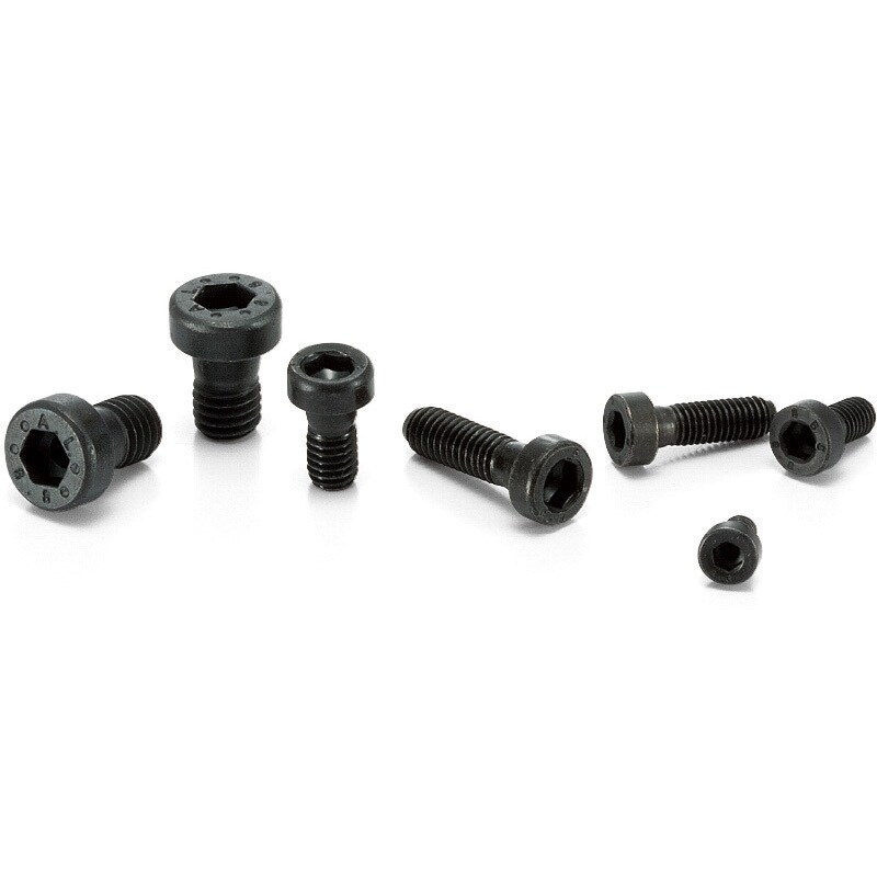 SLP-M8-16 SLP 六角穴付き低頭ボルト(パイロットリセスつき) NBK