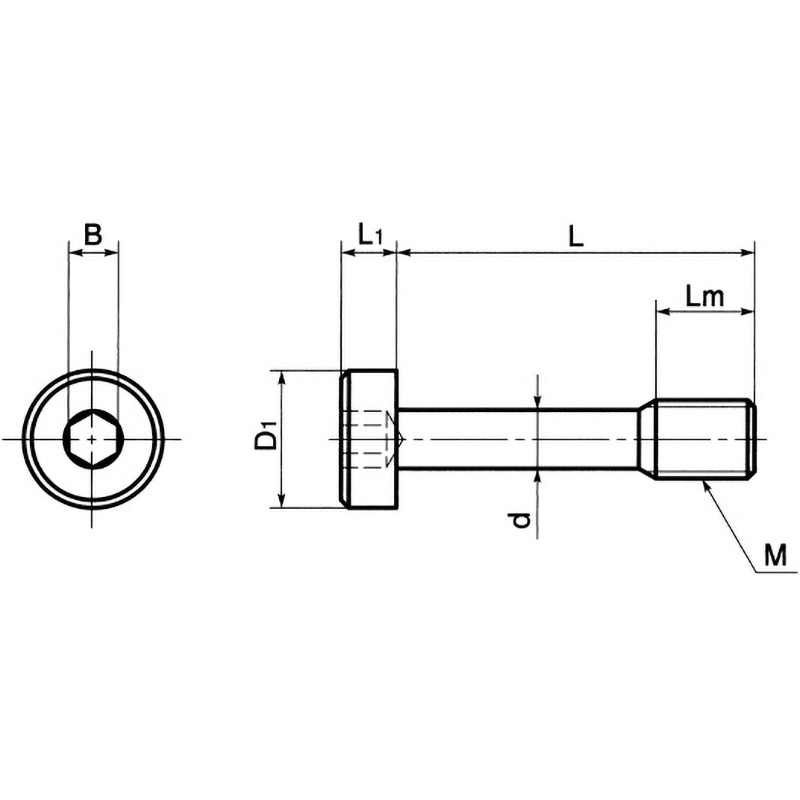 230尺八 本体木製5穴 一尺六寸管 TRUSCO 六角穴付ボルト ステンレス 全ネジ M2.5×8 24本入