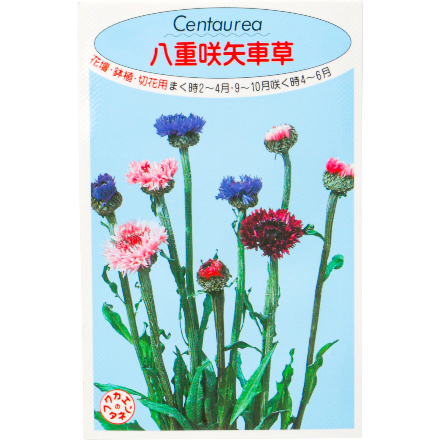 9131 タネ 八重咲矢車草 1個 福花園 通販サイトmonotaro