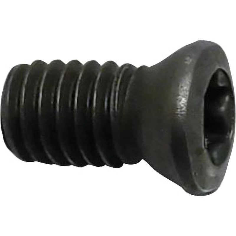 MS2166 輝丸用チップ止めネジ 1個 THECUT 【通販モノタロウ】