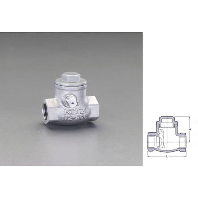 EA465AA-12 1・1/4” スイングチャッキバルブ 1個 エスコ 【通販モノタロウ】