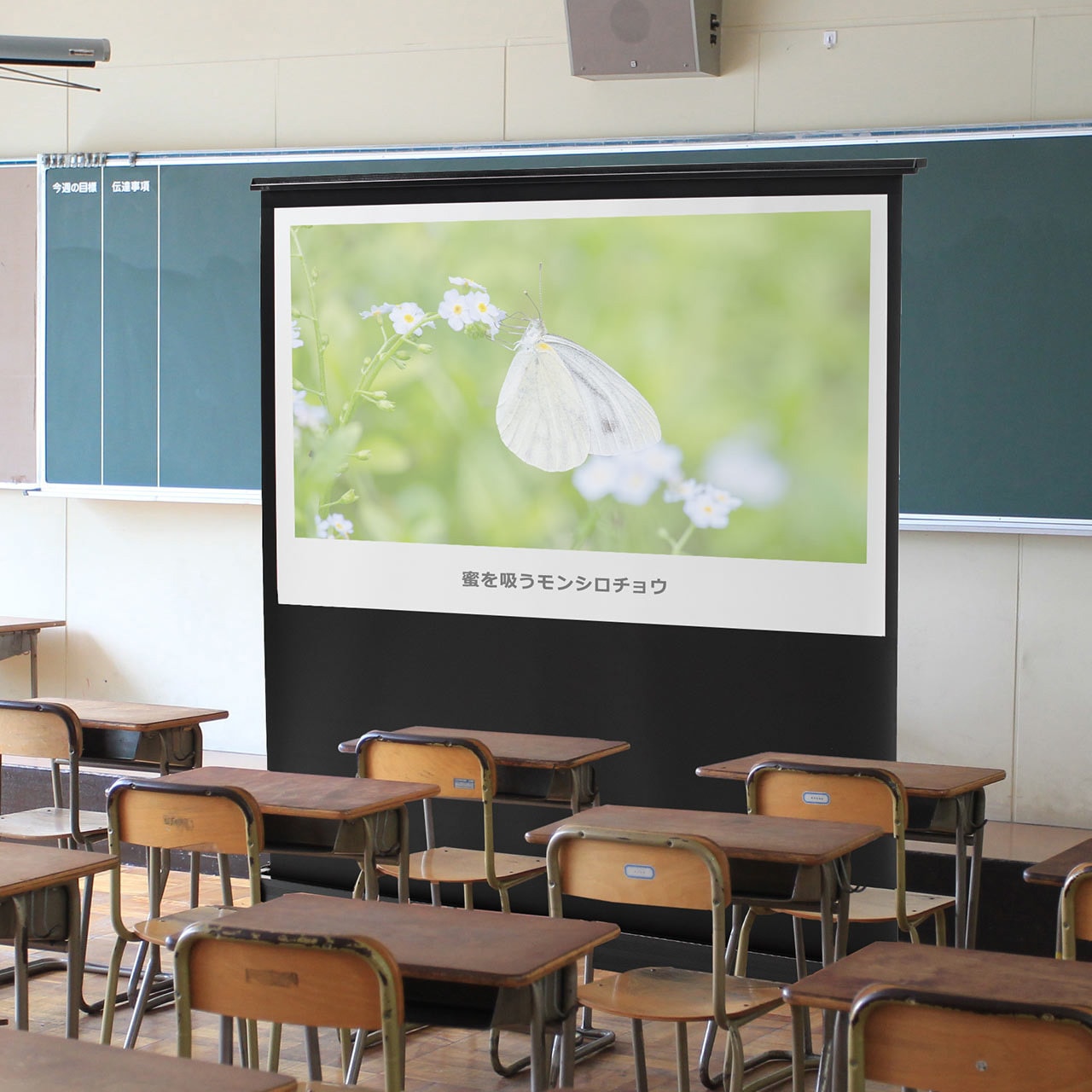 プロジェクタースクリーン 100インチ（自立式・床置き)家庭用、業務用 100-PRS014 プロジェクタースクリーン(床置き式) サンワダイレクト