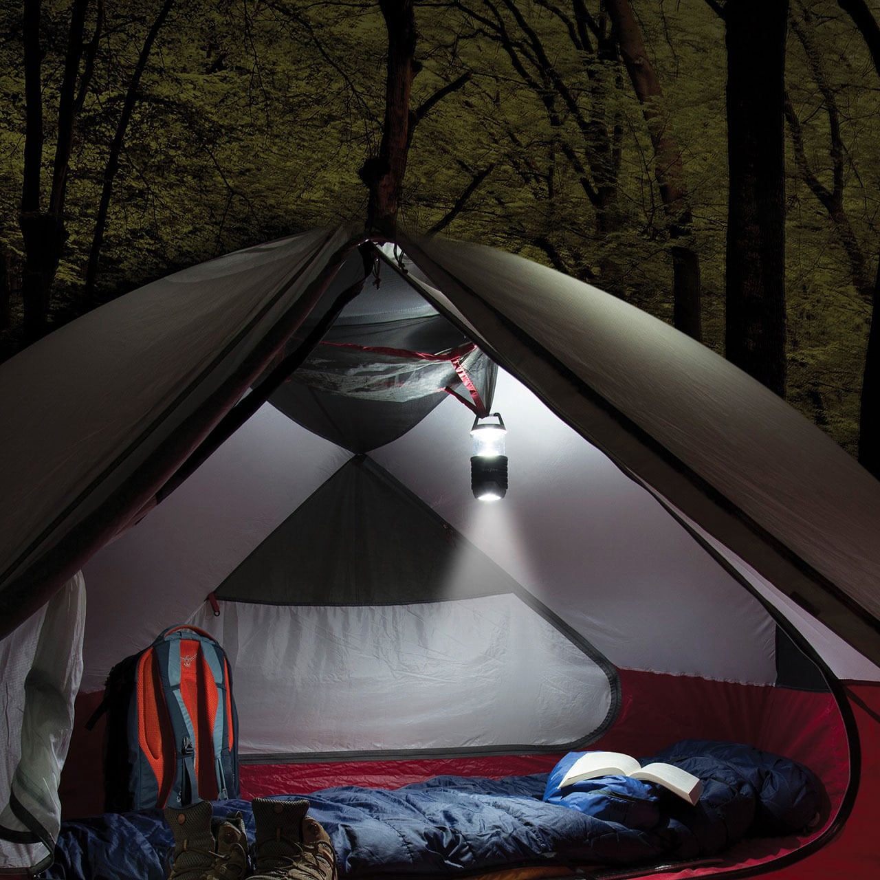 NI04223 レイディアント 200ランタン+フラッシュライト NiteIze 単3電池×4本(別売) LED