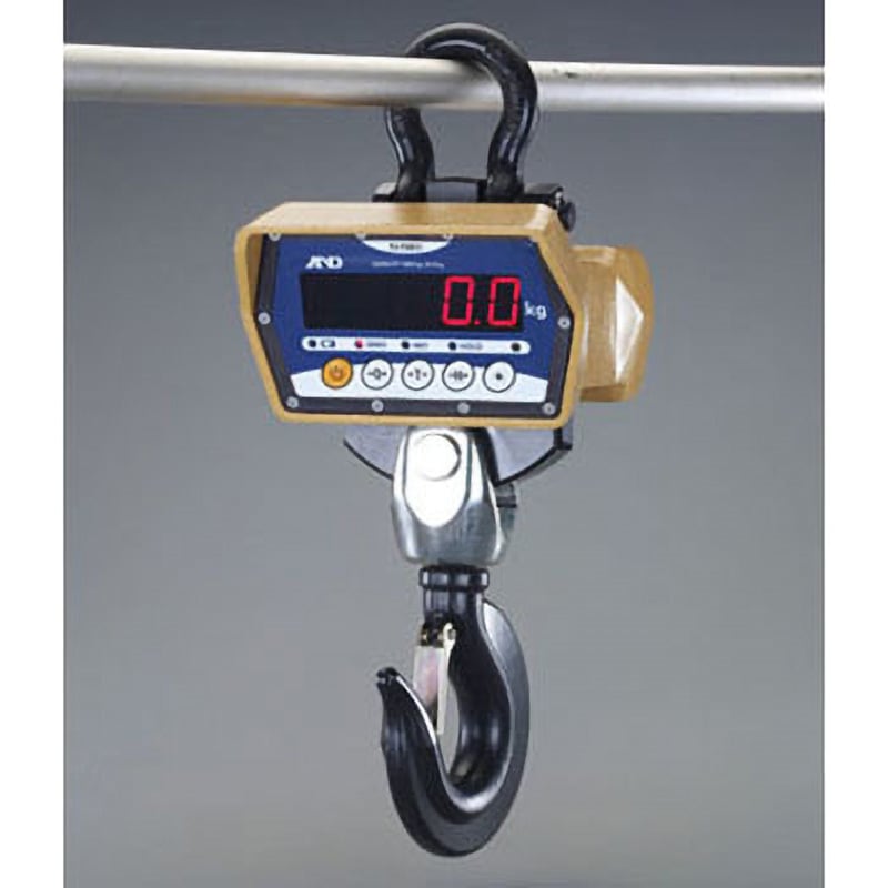 EA715BH-9A 3000kg(1.0kg) クレーンスケール(充電式) エスコ デジタル