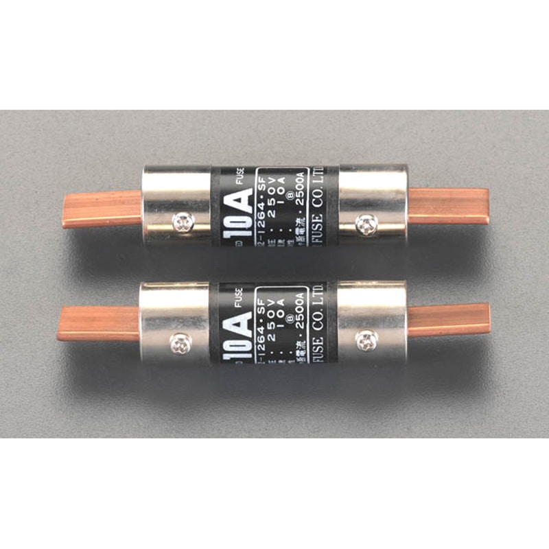 EA758ZV-31 250Vx100A 筒型エンクロヒューズ(刃型/2本) エスコ サイズΦ28×95mm 1個 EA758ZV-31