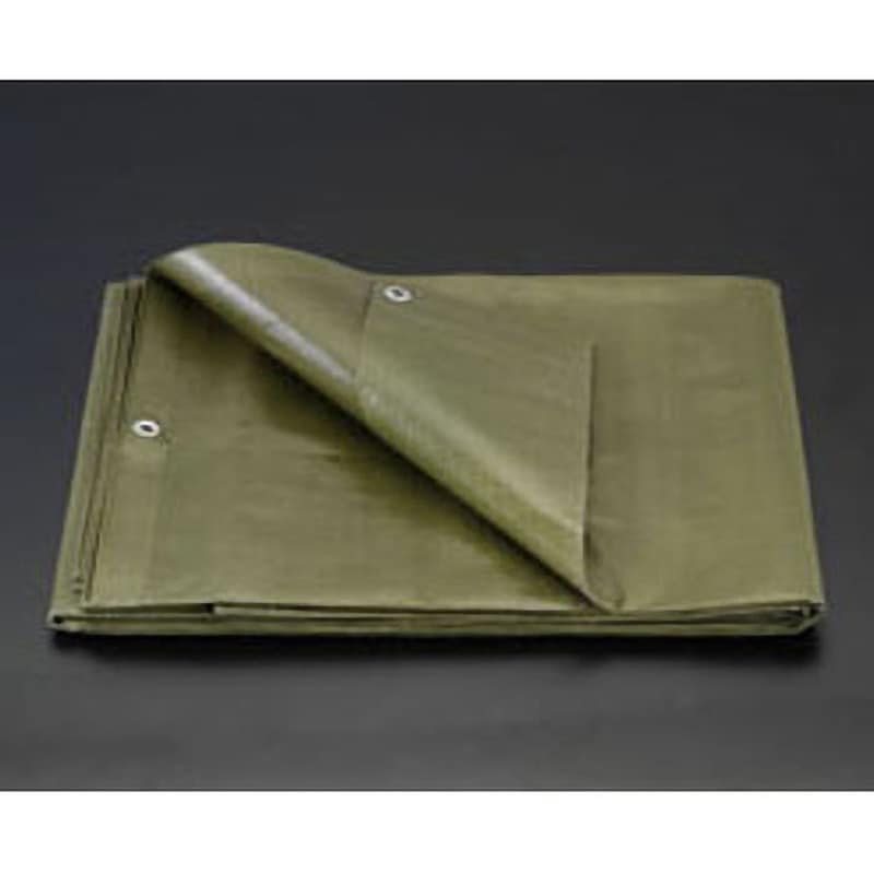 EA915BB-31 3.6x5.4m OD色シート(#3000) 1個 エスコ 【通販モノタロウ】