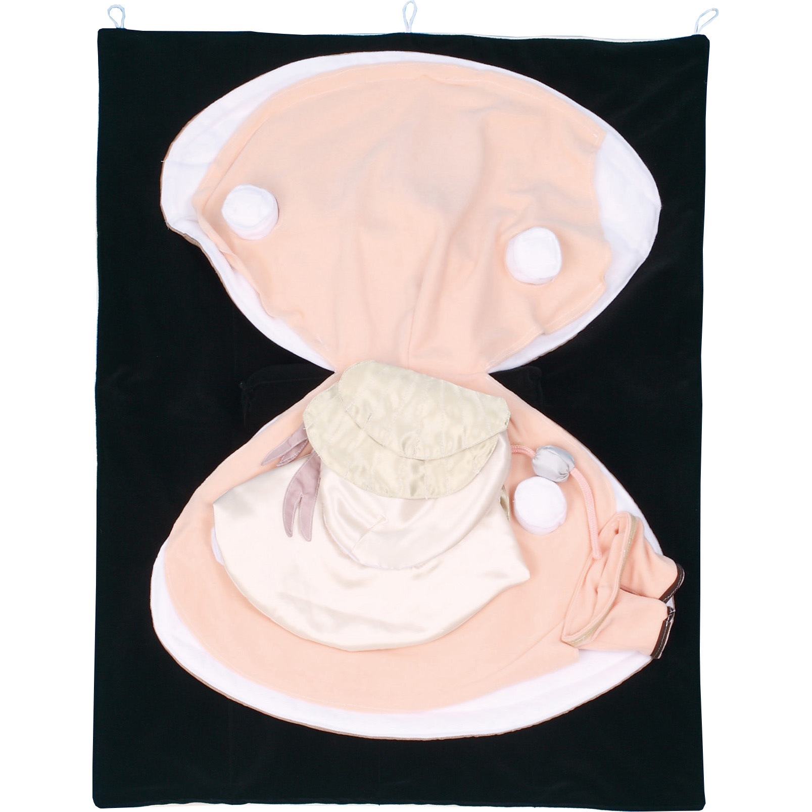 M60-4703 貝の解剖ソフトモデル ナリカ 1個 M60-4703 38,350円