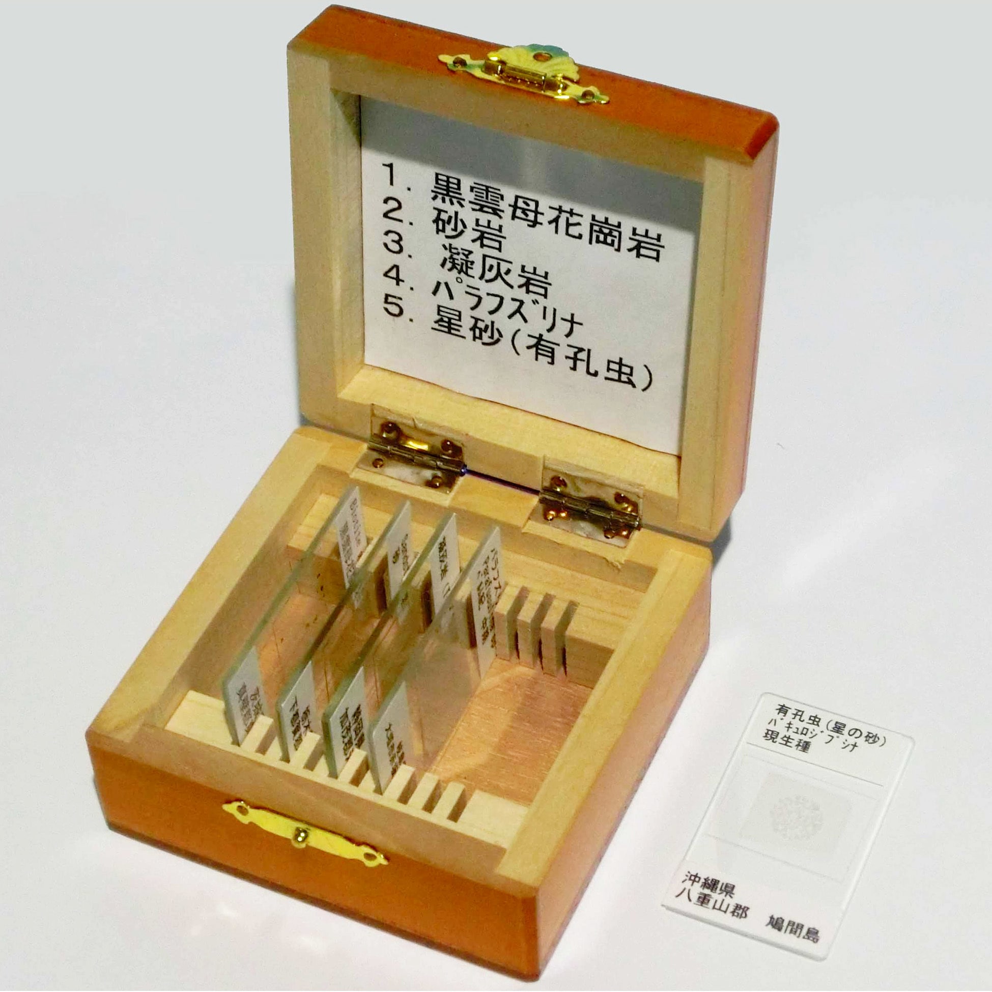 L55-6032 岩石・化石プレパラート ナリカ 種別RMF-5N(5種組)