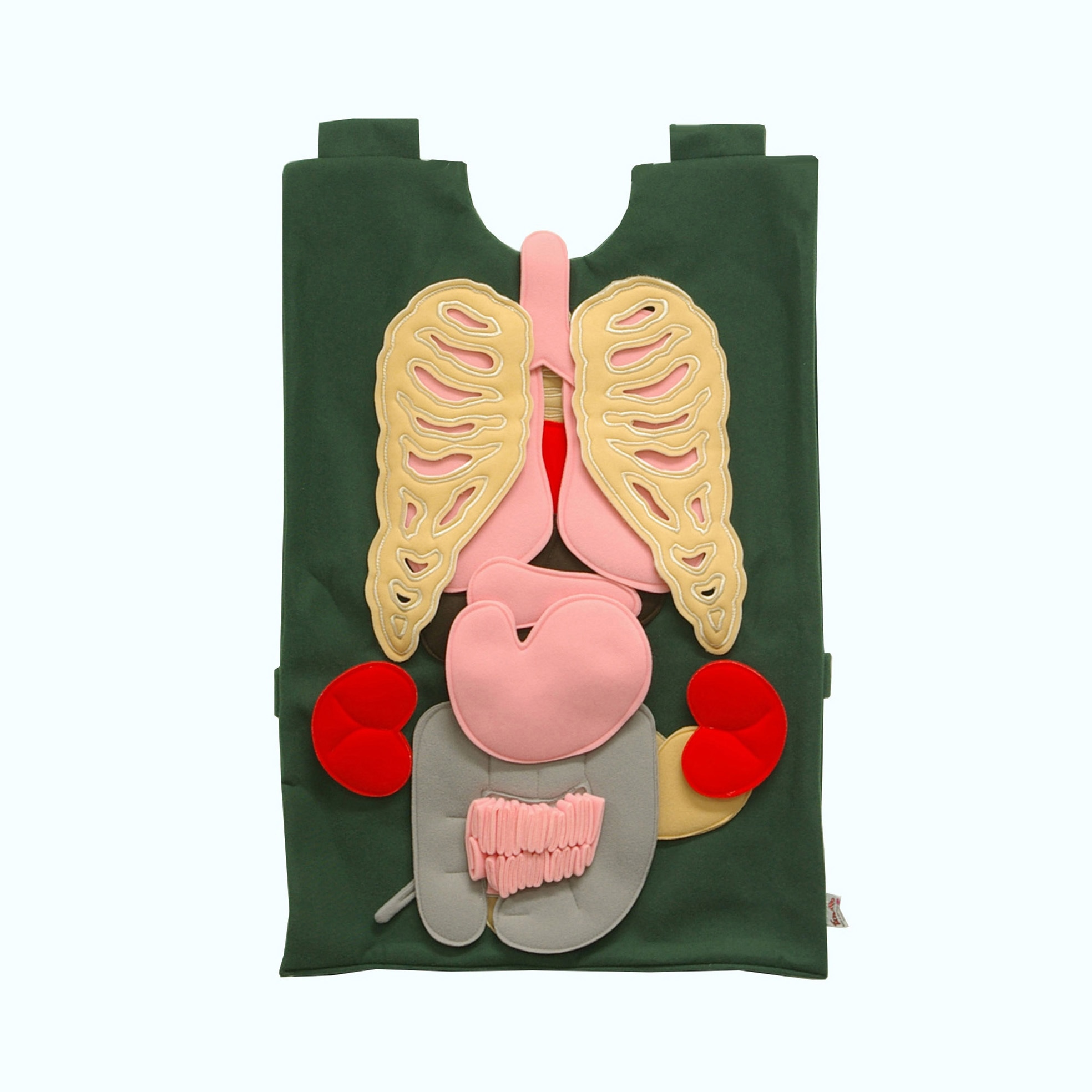 M60-5502-02 臓器チョッキ ナリカ (教師用)