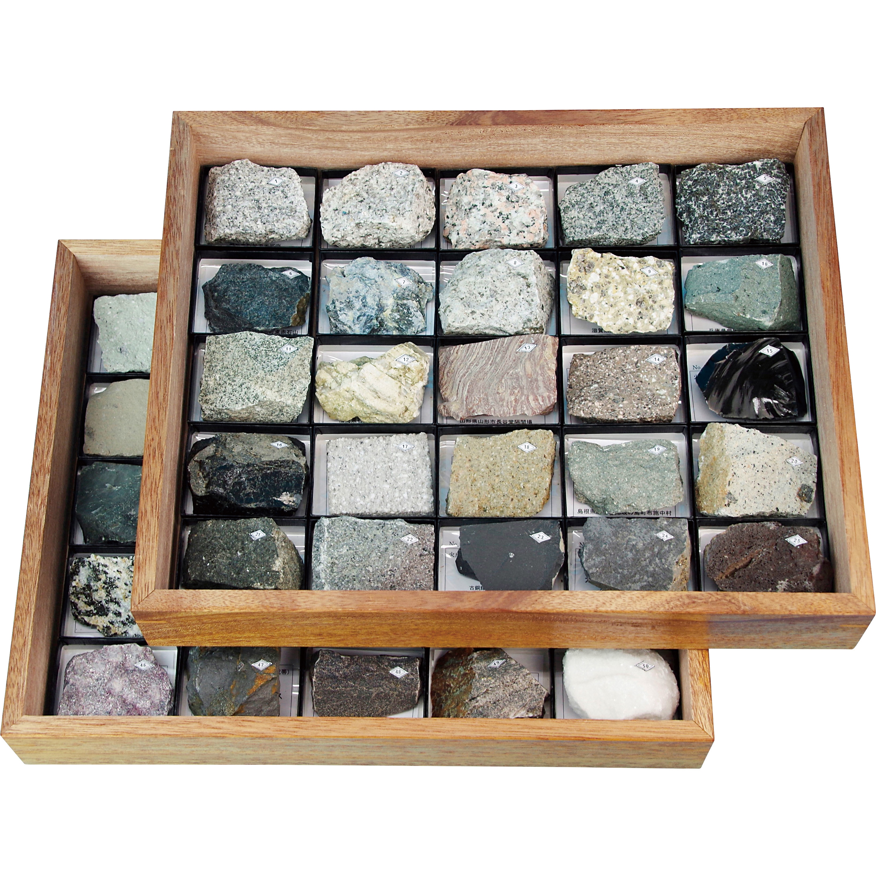 L55-1615 岩石標本 ナリカ 種別:中型 RSM-50 - 【通販モノタロウ】