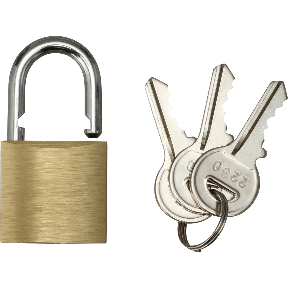 アンティーク錠前　双龍鍵　鍵　工芸品 Amazon | ージアンティークブロンズキー南京錠ア レトロ鍵引