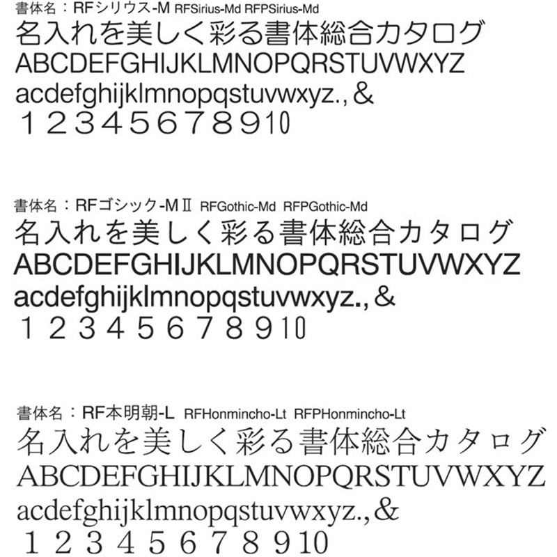 2473GXAアオ×100ナイレ 【名入れ】スーパードッチファイル