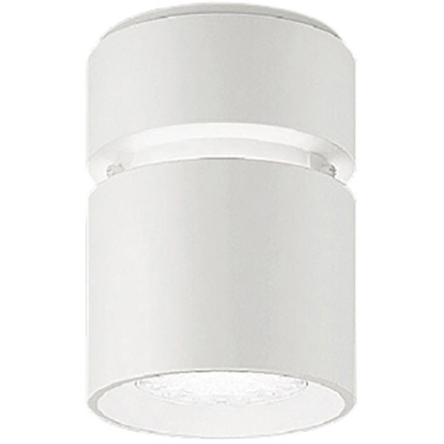 ERG5532W シーリングダウンライト ENDO(遠藤照明) (対応)100～242V 調光不可 白艶消色 3000K 配光角度51° 電球色 4000タイプ   ERG5532W