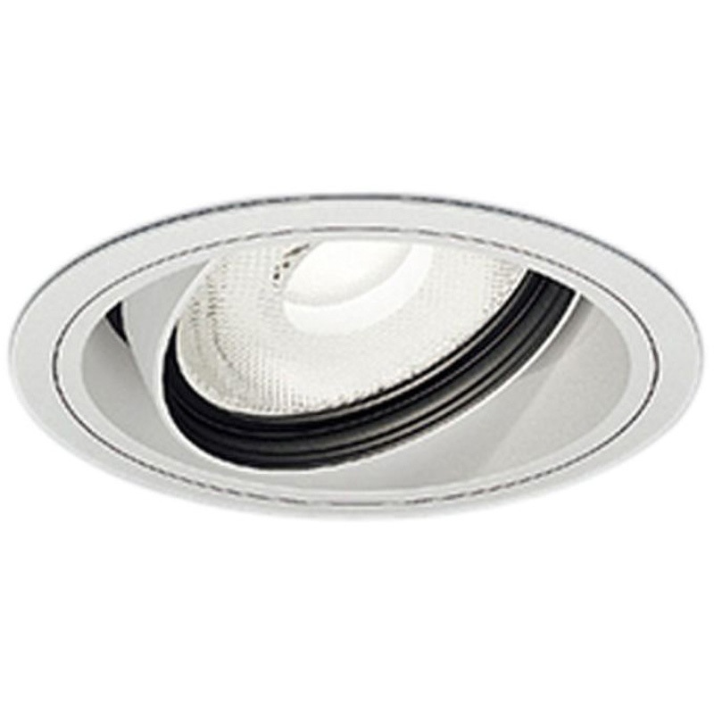 ERD6821W 生鮮食品用照明 F240/F300 デリカナチュラル ENDO(遠藤照明) 別売(別置形) (対応)100～242V 中角配光 配光角度22° 埋込穴Φ125mm  ERD6821W