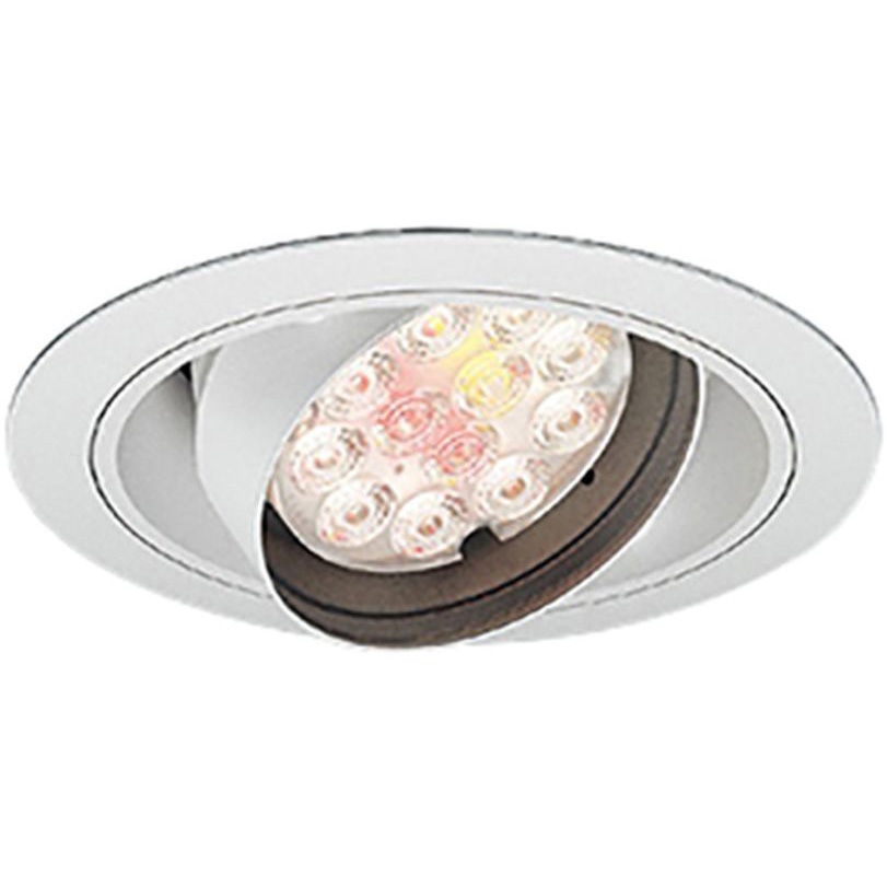 ERD7453W 生鮮食品用照明 2400TYPE 中角配光 生鮮タイプ ENDO(遠藤照明) 別売(別置形) (対応)100～242V 非調光 埋込穴Φ150mm  ERD7453W