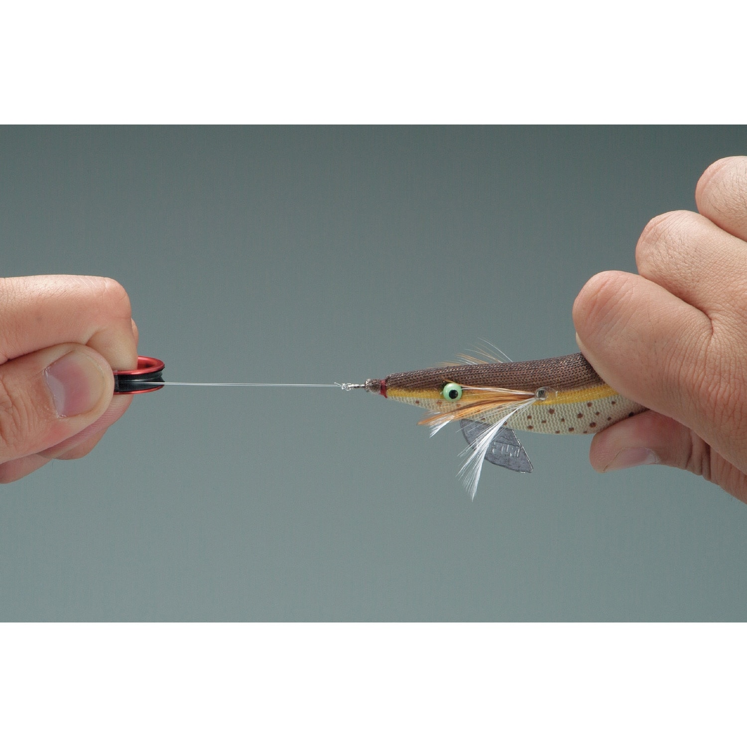 タニシゲ　リング ダイカットマルチリング イッカネズミ 924F ｜【公式】ポケモン