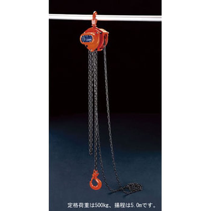 EA987CJ-5 0.5tonx5.0m チェーンブロック エスコ 荷重500kg