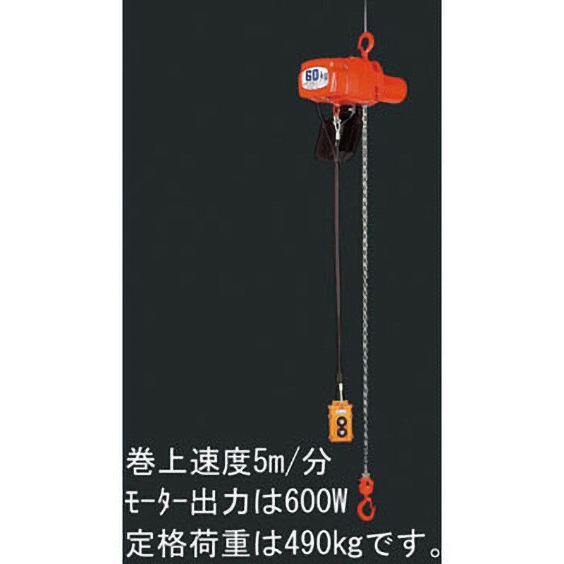 EA987DA-9 490kgx5.0m 電動チェーンブロック エスコ 単相100V