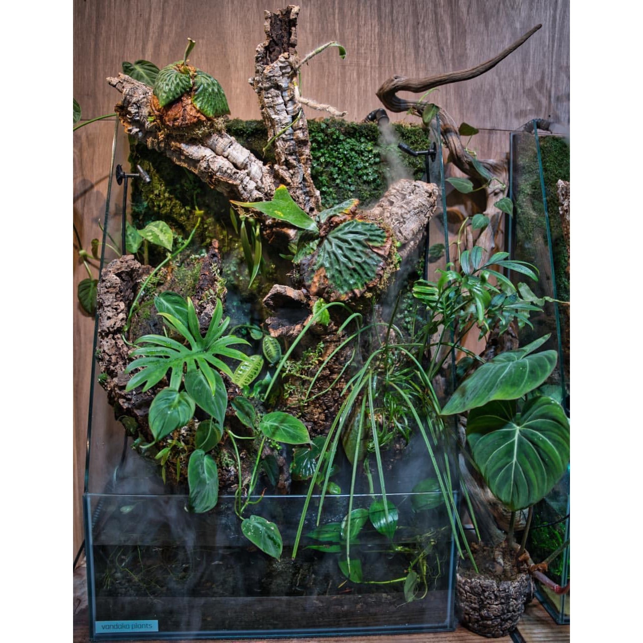 バージンコルク ディスプレイ 1ケース(500g×10個) トッパークリアール