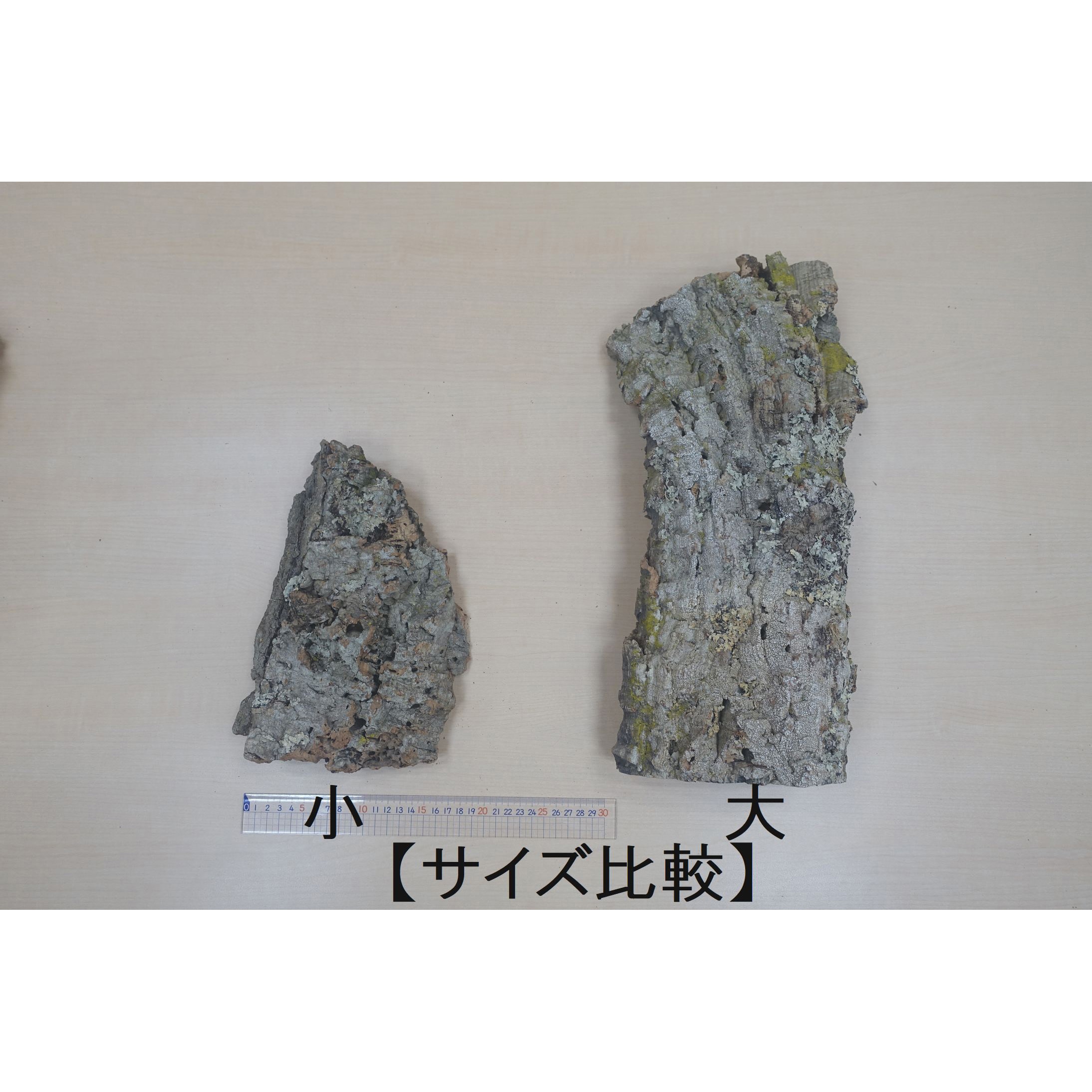 バージンコルク ディスプレイ 1ケース(500g×10個) トッパークリアール