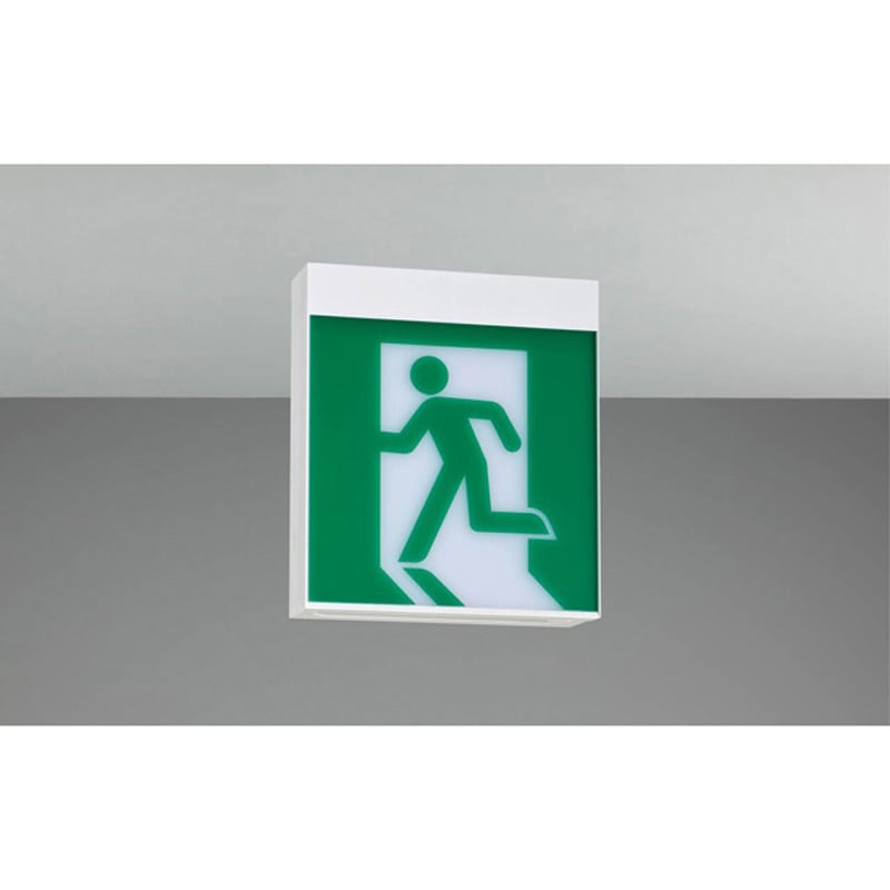 FBK-10702-LS17 C級天井直付両面誘導灯 1台 東芝ライテック 【通販モノタロウ】