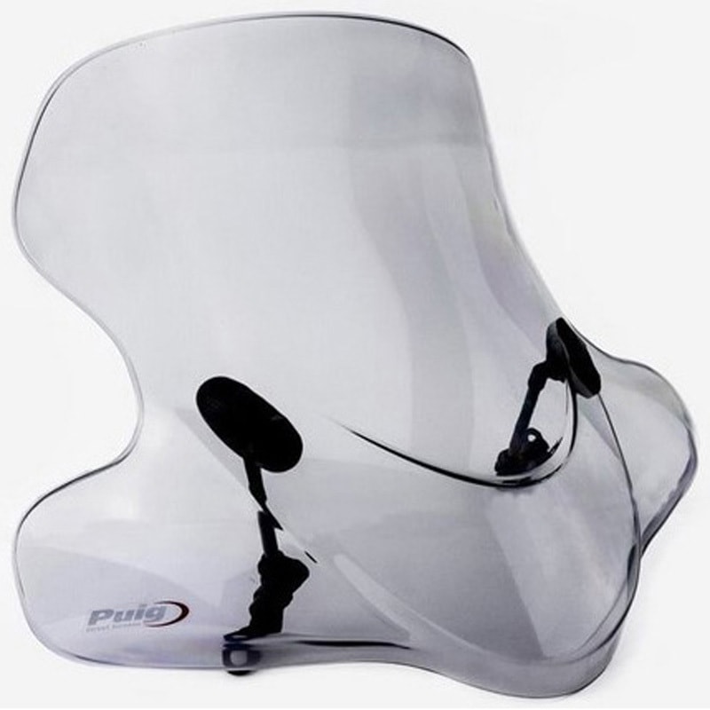 4843H シティーツーリング | 4843 Puig (プーチ) スモーク色