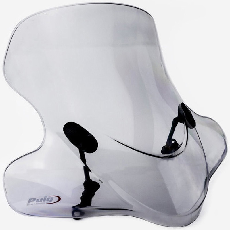 6808H シティーツーリング | 6808 Puig (プーチ) スモーク色