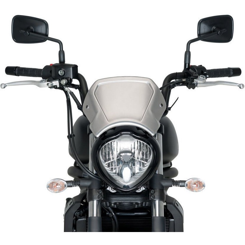 3592P Puig Aluminium Frontal plate Puig (プーチ) シルバー色   3592P