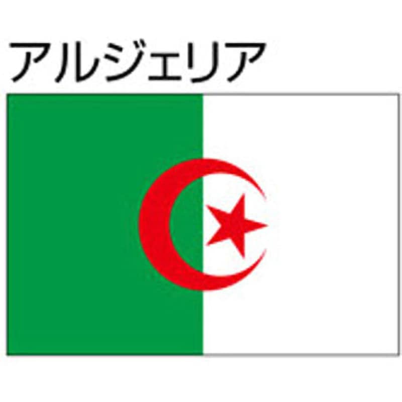 アルジェリア 船舶用外国旗 3巾 ノーブランド 3巾(中型)サイズ