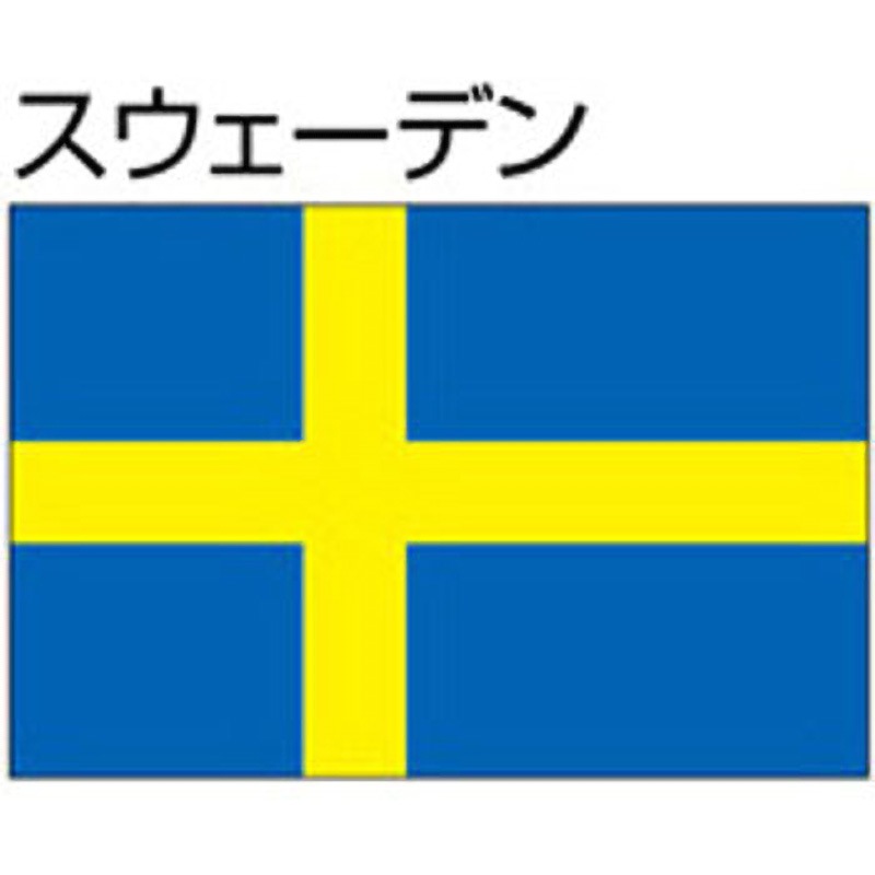ＳＷスウェーデン軍＊１９３０年代＊国旗ピン（実物） SWスウェーデン軍＊1930年代＊国旗ピン（実物） Amazon.co