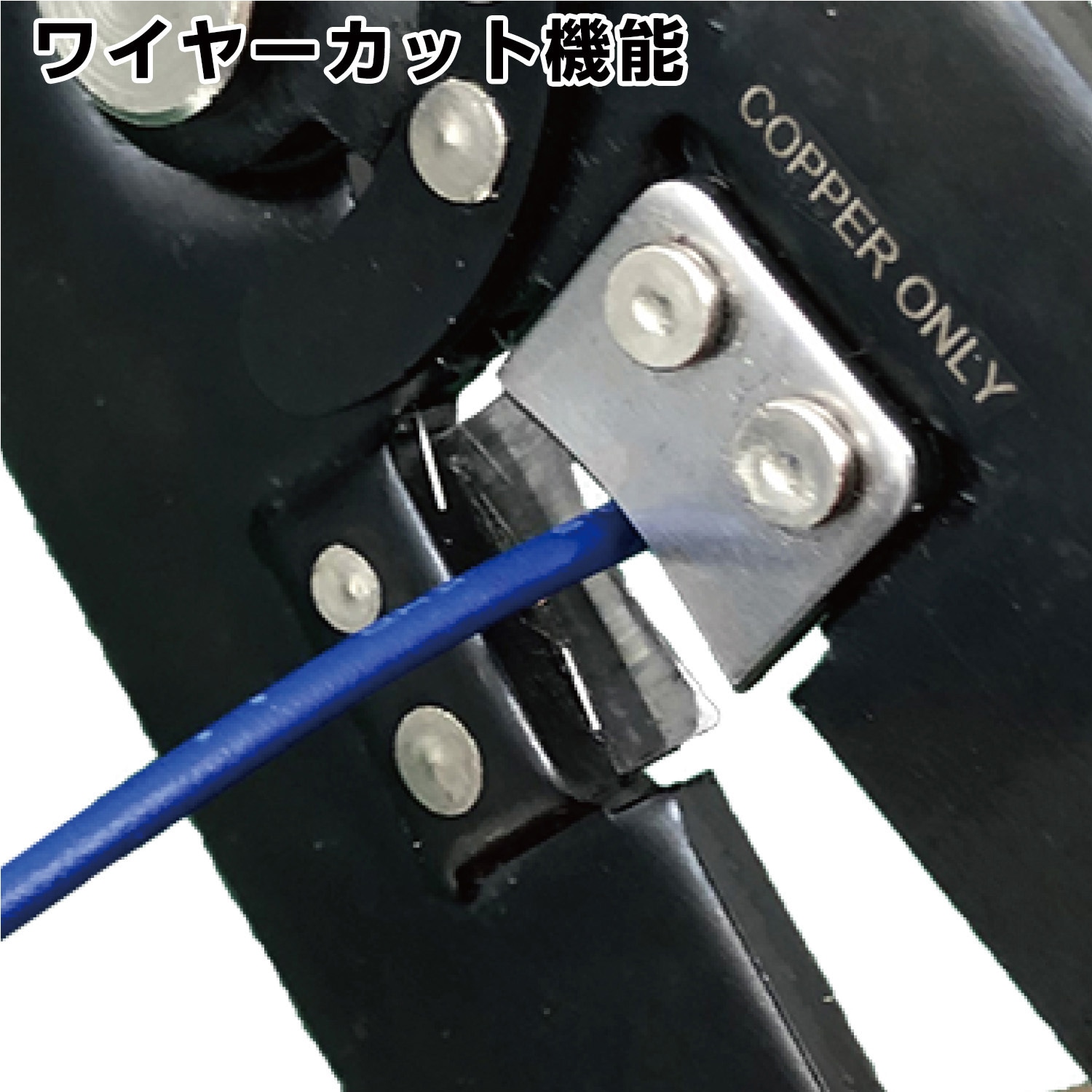タイ発 ☆LYN☆ 2WAY マルチポケット ロゴ 2色 送料込 110072002348980003001