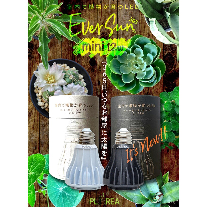 Mini12W BLACK EVERSUN365 植物育成ライト 1個 ゼンスイ 【通販