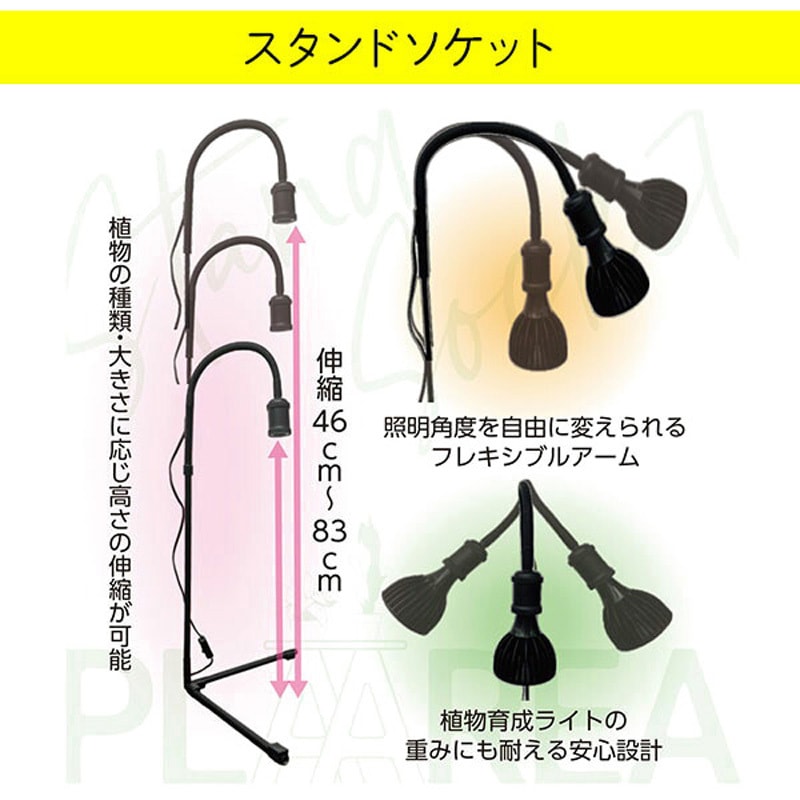 ●Takayuki Ueda●泡盛30度リクエストセット」1.8LX12本 楽天市場】ネコポス発送 椿モデル PW-1721 オートスライドダブル