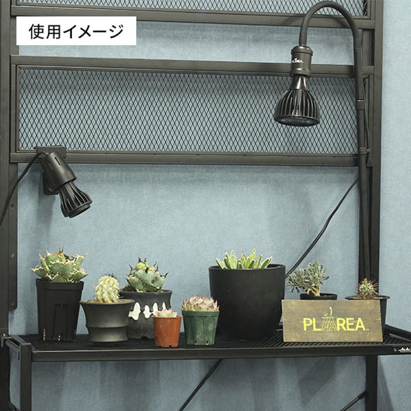 Regular24W EVERSUN365 植物育成ライト 1個 ゼンスイ 【通販
