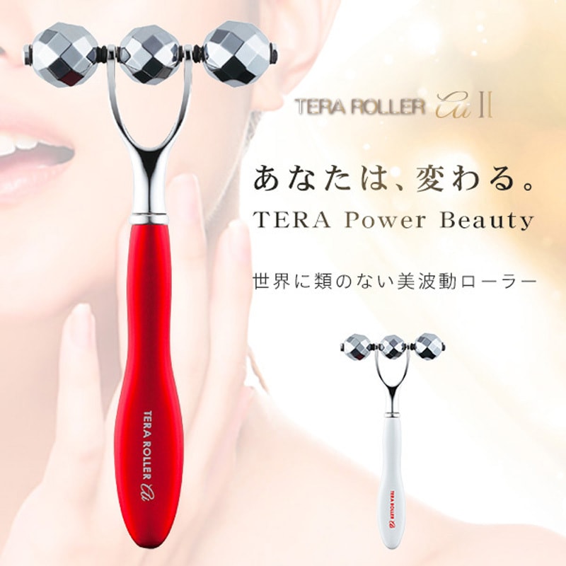 テラローラーai II スプレンダーISO 美顔器/フェイススチーマー 【通販